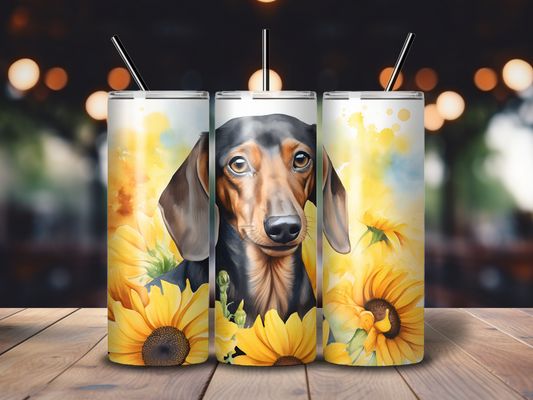 Sublimated 20 oz Tumbler with a Dachshund in sunflowers design 4